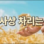 맑은 하늘 아래 노랗게 익은 밀밭을 배경으로 한 사람이 밀 이삭을 손으로 잡고 있는 모습 위에 ‘제사상 차리는 법’이라는 큰 글씨가 중앙에 배치된 안내 이미지.