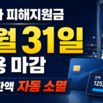 고유가 피해지원금 사용기한이 2026년 8월 31일 마감되며, 남은 잔액은 자동 소멸된다는 내용을 안내하는 이미지